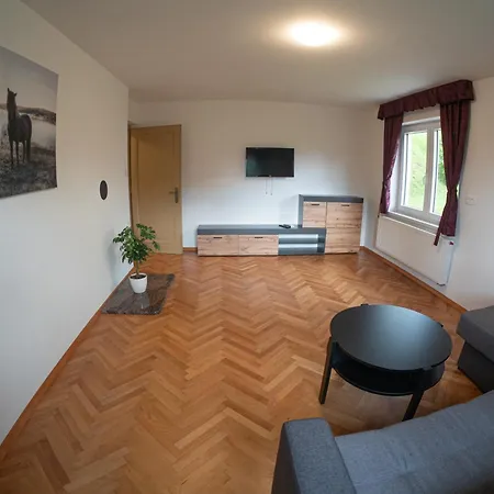 Field Flower Apartment Radovljica