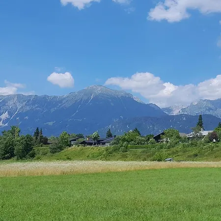 Field Flower Radovljica