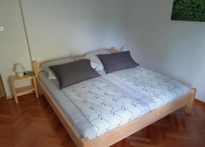 Apartman Field Flower *