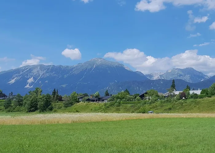 Field Flower Radovljica