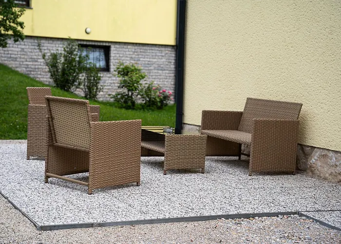 Field Flower Radovljica