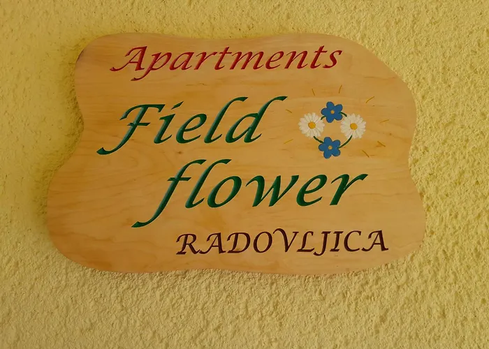 Field Flower * Radovljica